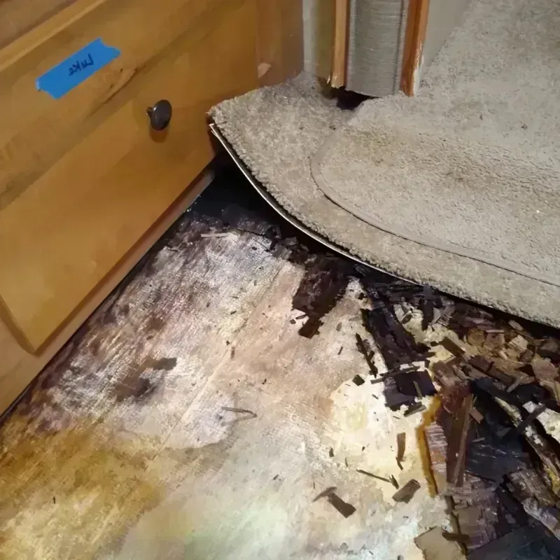 Wood Floor Water Damage in Lyons, CO